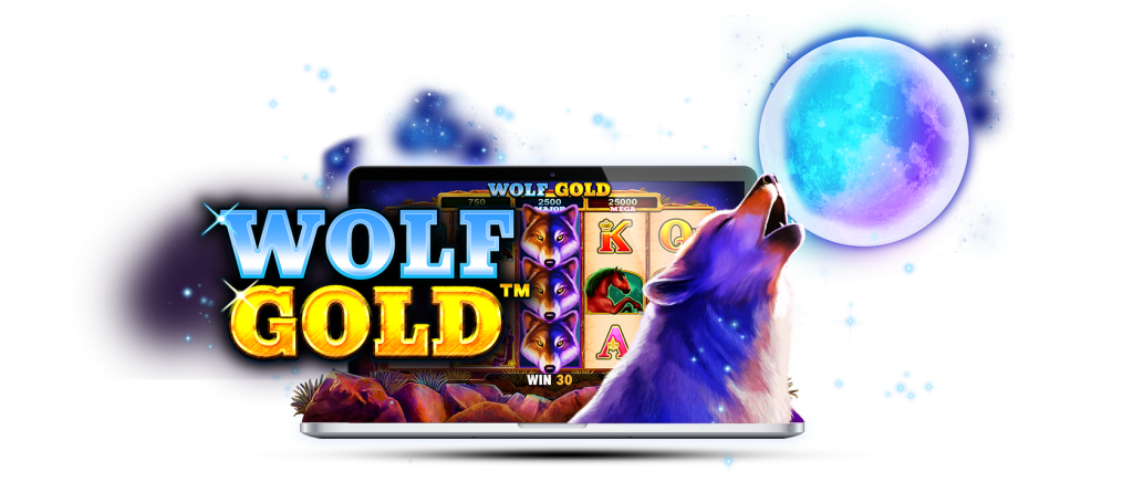 วิธีการเล่น Wolf Gold