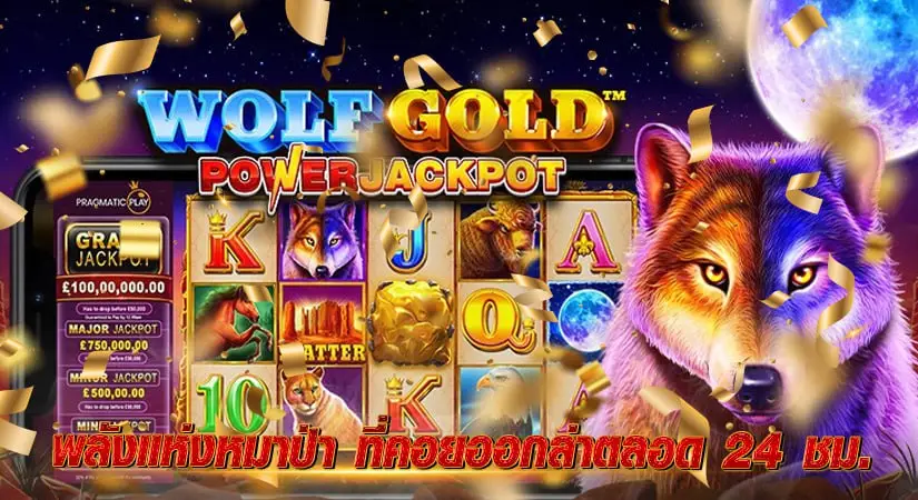 Wolf Gold พลังแห่งหมาป่า ที่คอยออกล่าตลอด 24 ชม.