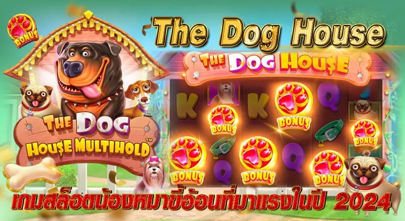 The Dog House เกมสล็อตน้องหมาขี้อ้อนที่มาแรงในปี 2024